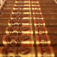 Oliva Serie V Melanio Gran Reserva Double Toro - 1 Single